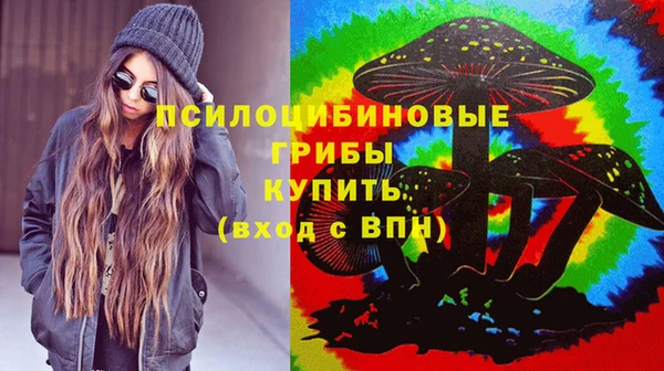apvp Балахна